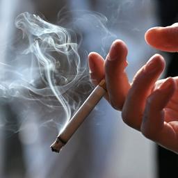Gesundheit und Medizin