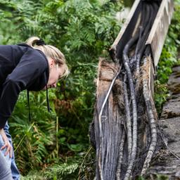Polizeibeamte der Spurensicherung stehen an einem ausgebrannten Kabeltunnel neben einem Gleis.