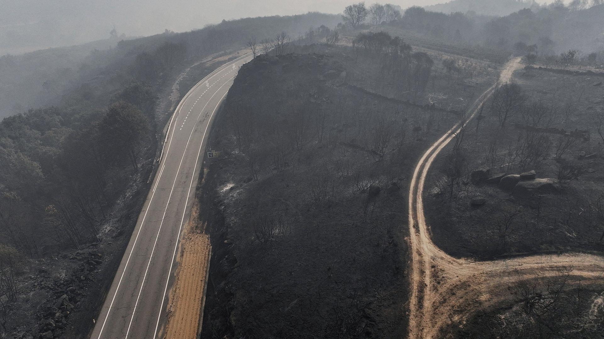 Straßen führen durch verbrannte Erde nach einem Waldbrand in Spanien. | REUTERS