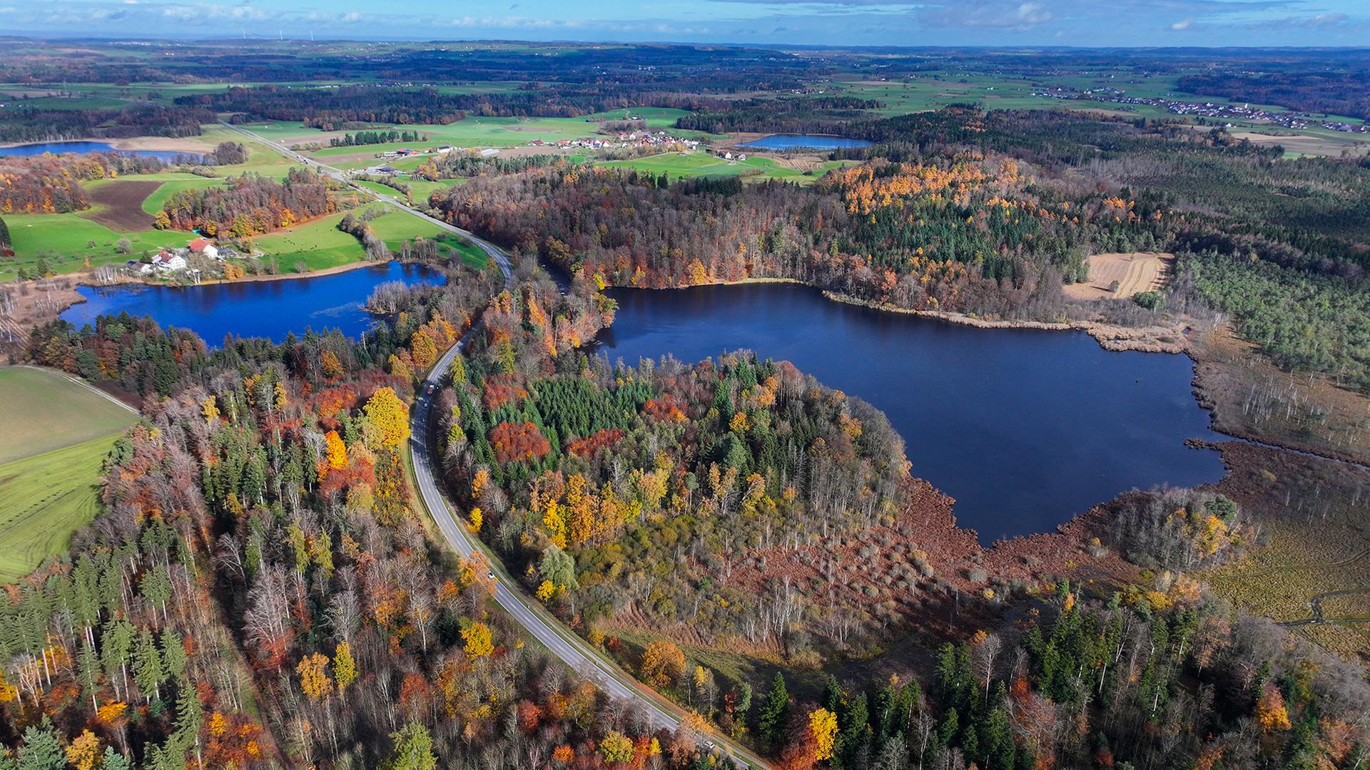 Blick auf die Blitzenreuter Seenplatte. (Archivbild: 03.11.2025) | dpa