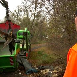 Beseitigung von illegalem Müll im Wald in Herzfelde bei Rüdersdorf