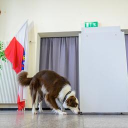 Diensthundefuehrerin Katja Aumann und Datentraegerspürhund Kevin bei einer Vorführung.