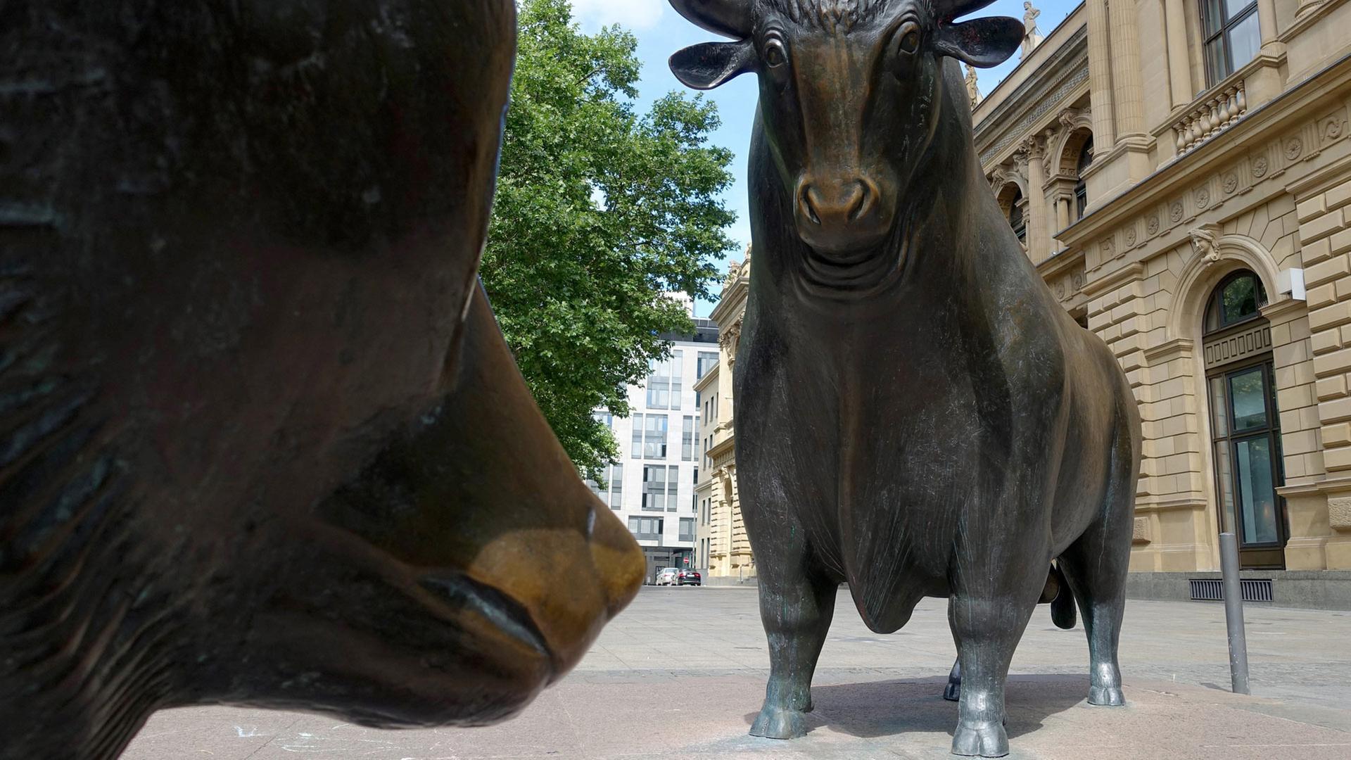 Bulle und Bär Skulptur vor der Börse Frankfurt | picture alliance / Daniel Kalker