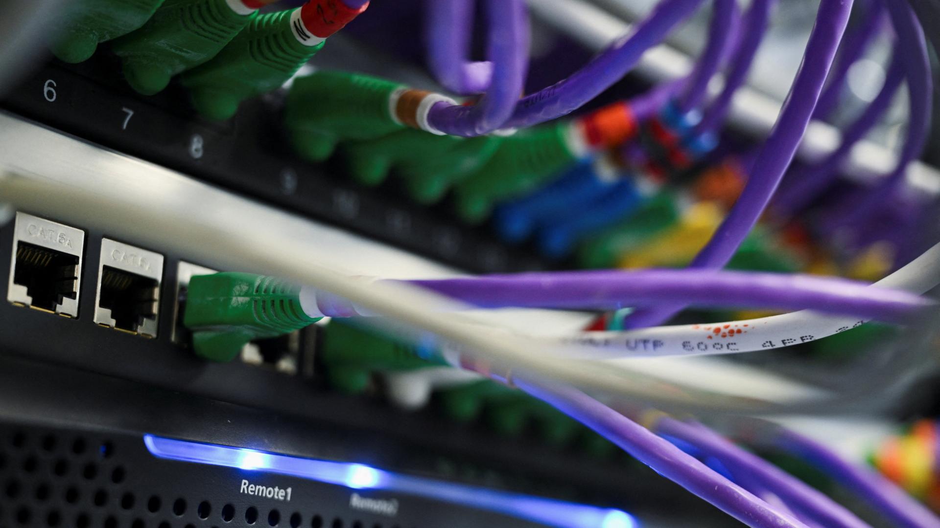 In einen Computerserver eingesteckte LAN-Netzwerkkabel | REUTERS