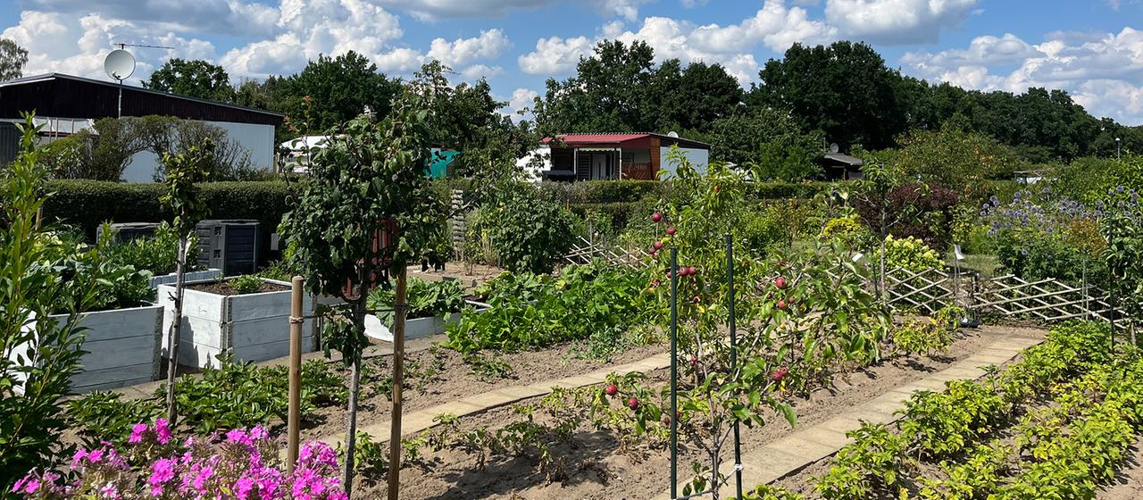 Gemüsebeete in einem Schrebergarten.