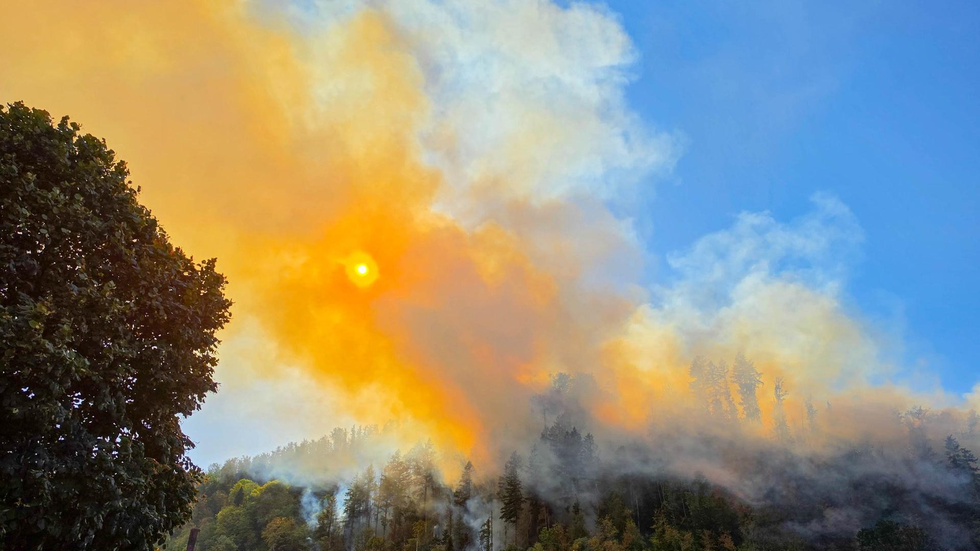 Feuerökologe Goldammer im Interview: "Waldbrände immer größer und schwerer zu bekämpfen"