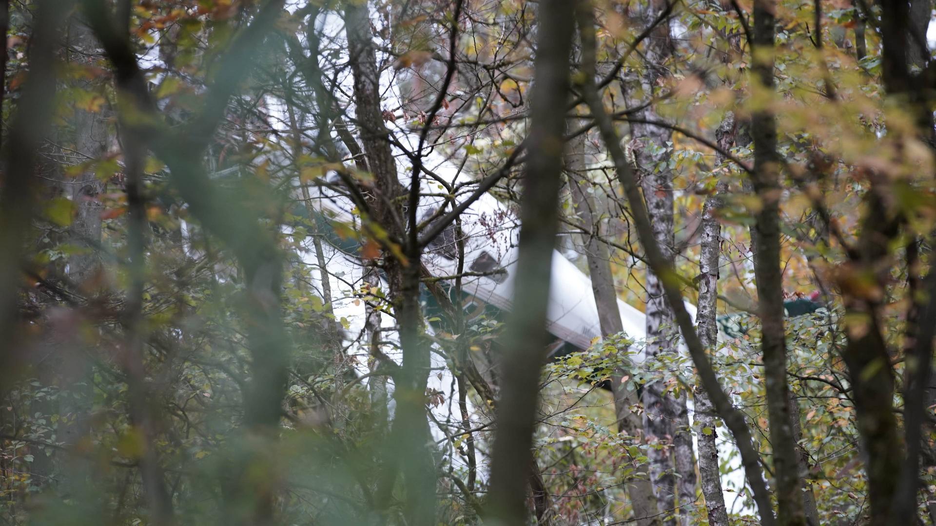 Beim Starten abgestürzt: Motorflugzeug bleibt in Baumkronen hängen