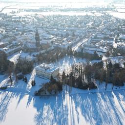 Bäume werfen ihre langen Schatten auf einen zugefrorenen See