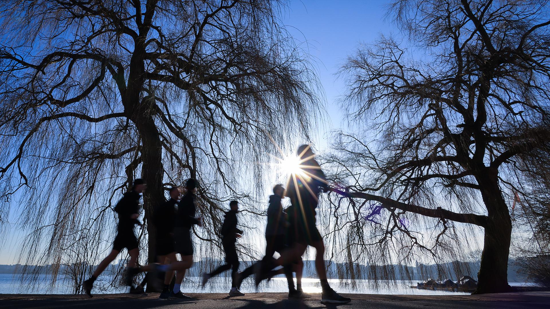 Joggende Menschen im Sonnenschein | dpa