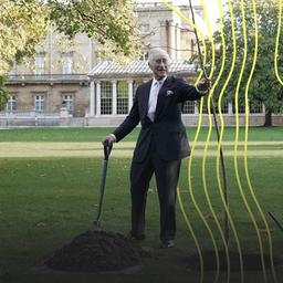 König Charles III. pflanzt eine Linde in der Nähe des Teehauses im Garten des Buckingham-Palastes für das 