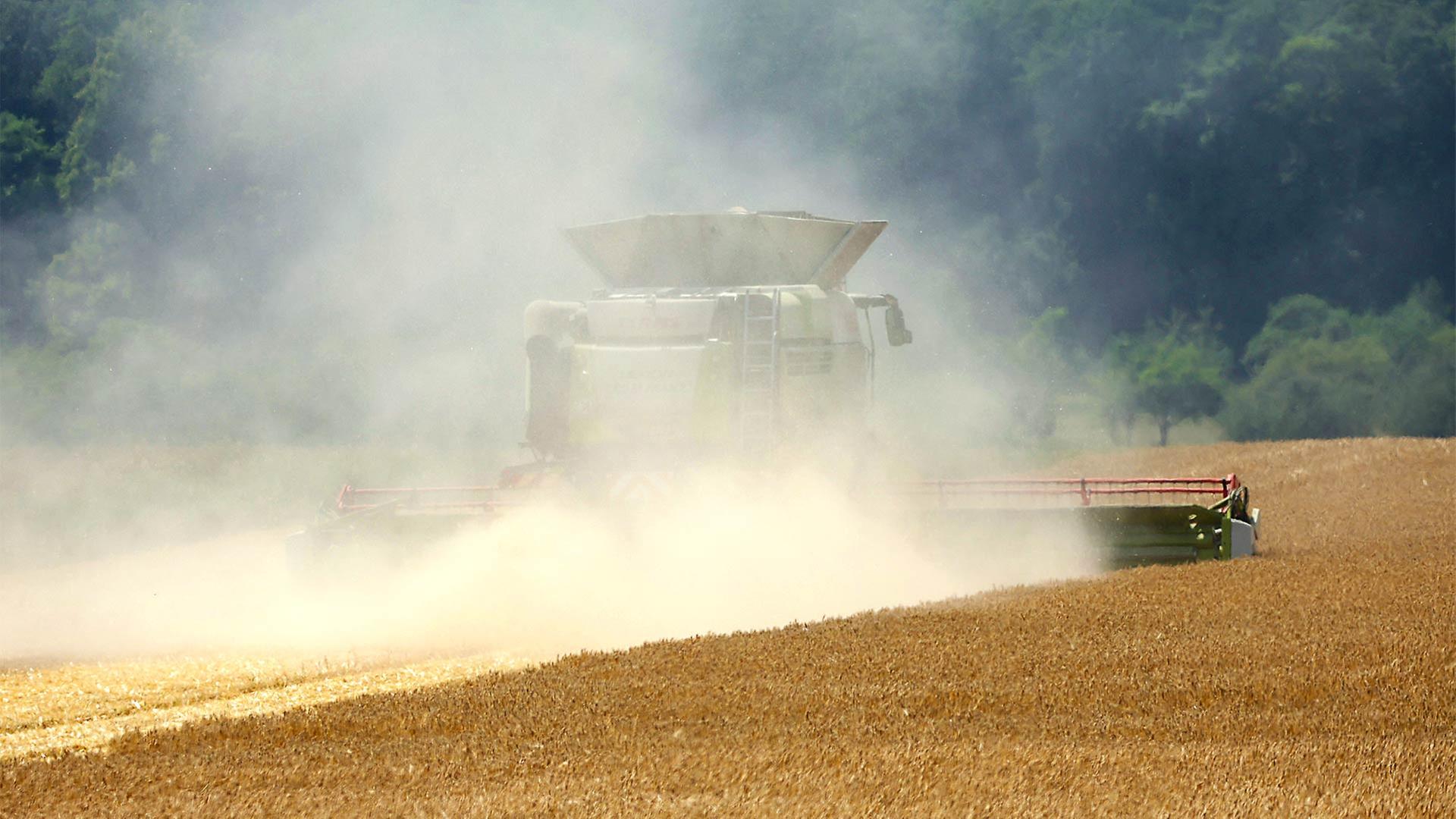 Landwirte reagieren auf veränderte klimatische Bedingungen