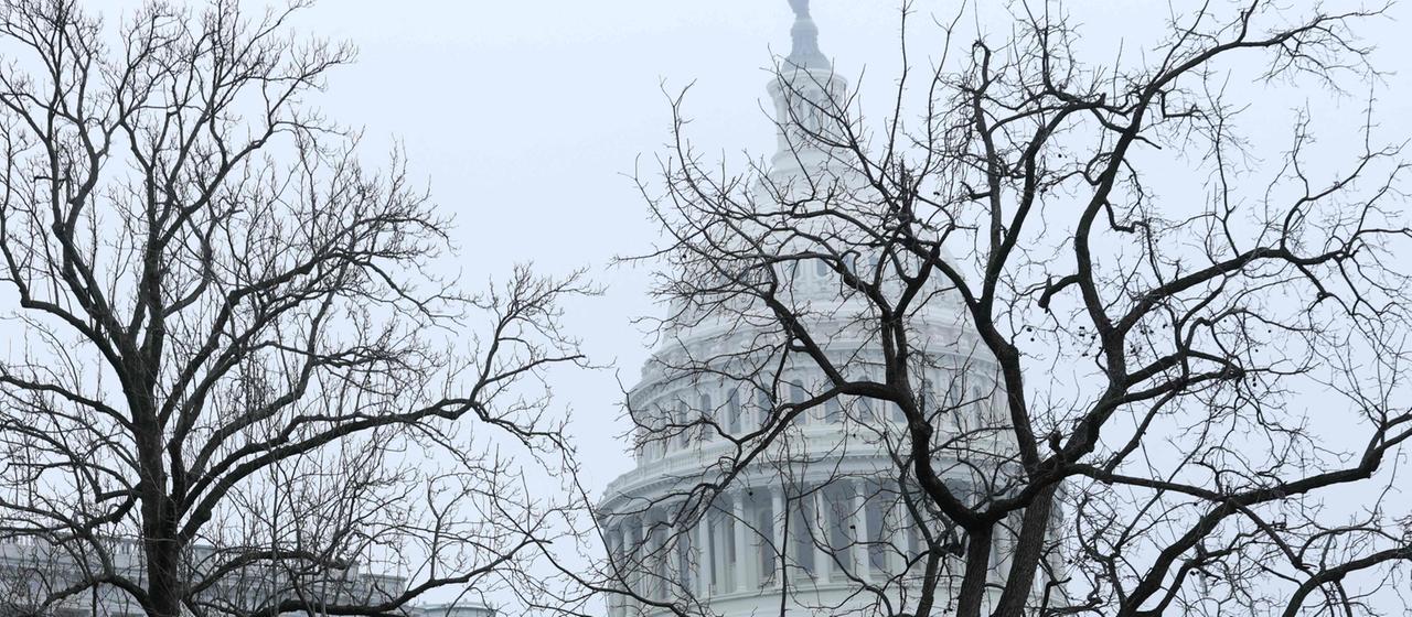 Das Capitol in Washington