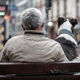 Ein Mann mit weißem Haar und ein Hund sitzen gemeinsam auf einer Bank.