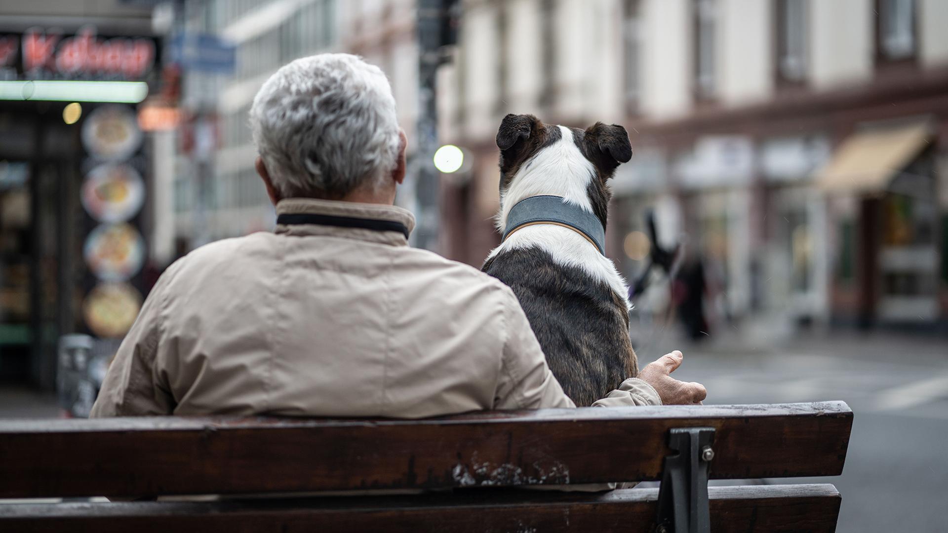 Ein Mann mit weißem Haar und ein Hund sitzen gemeinsam auf einer Bank. | picture alliance/dpa