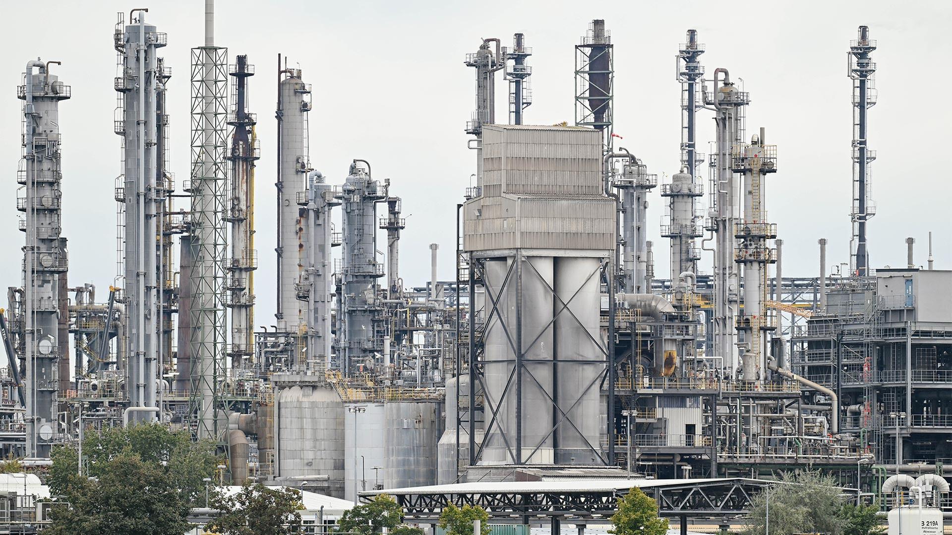 Produktionsanlagen stehen auf dem Werksgelände des Chemiekonzerns BASF. | picture alliance/dpa