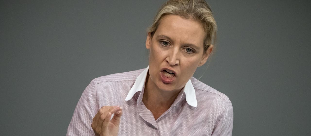 Weidel-Äußerung: Werden Ausgaben für die EU verschwiegen? | tagesschau.de