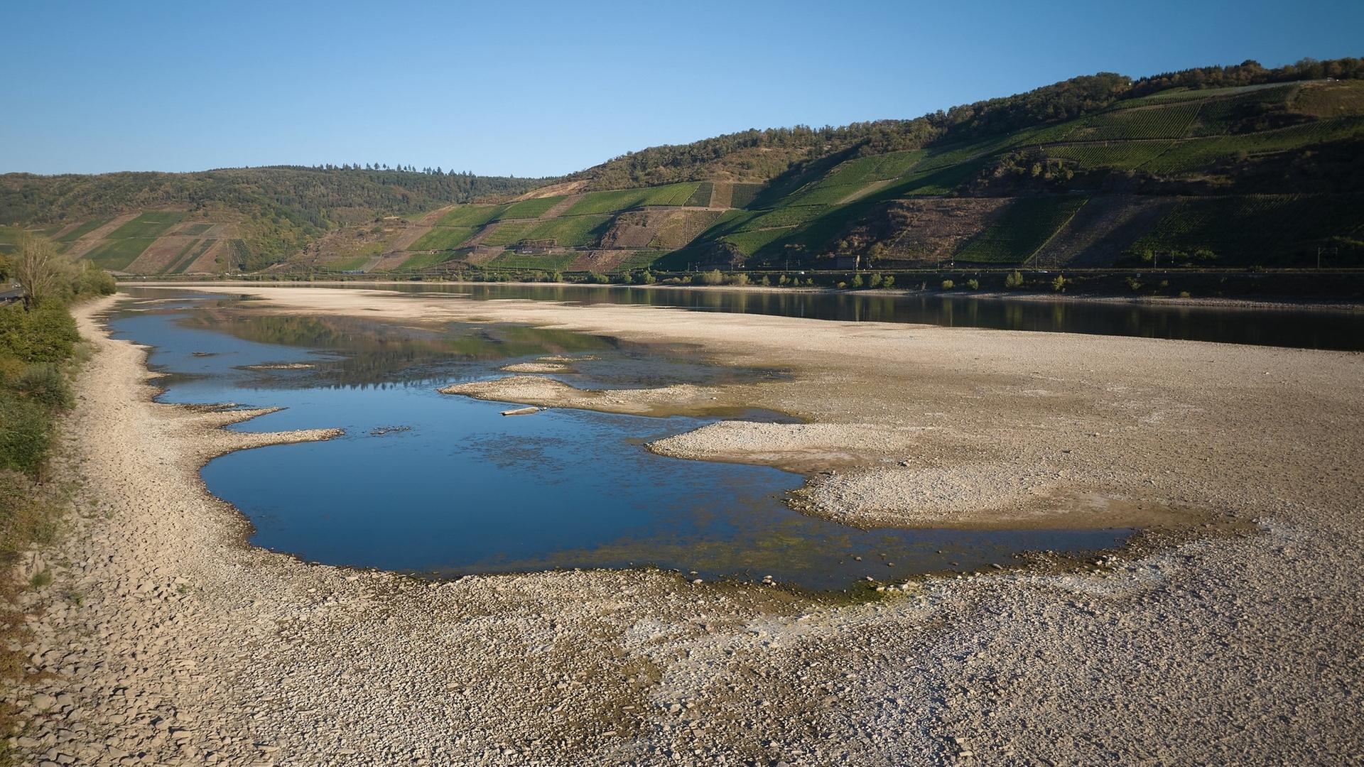 Rhein-Niedrigwasser: Worauf wir in Zukunft achten müssen