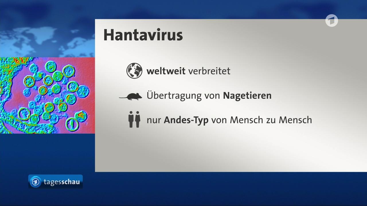 Nach Hantavirus-Ausbruch auf Kreuzfahrtschiff kommt deutsche Passagierin zur Untersuchung in Düsseldorfer Uniklinik