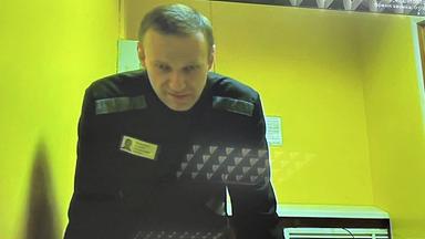Alexej Nawalny auf einem Foto des Pressediensts des Moskauer Stadtgerichts veröffentlichten Foto.
