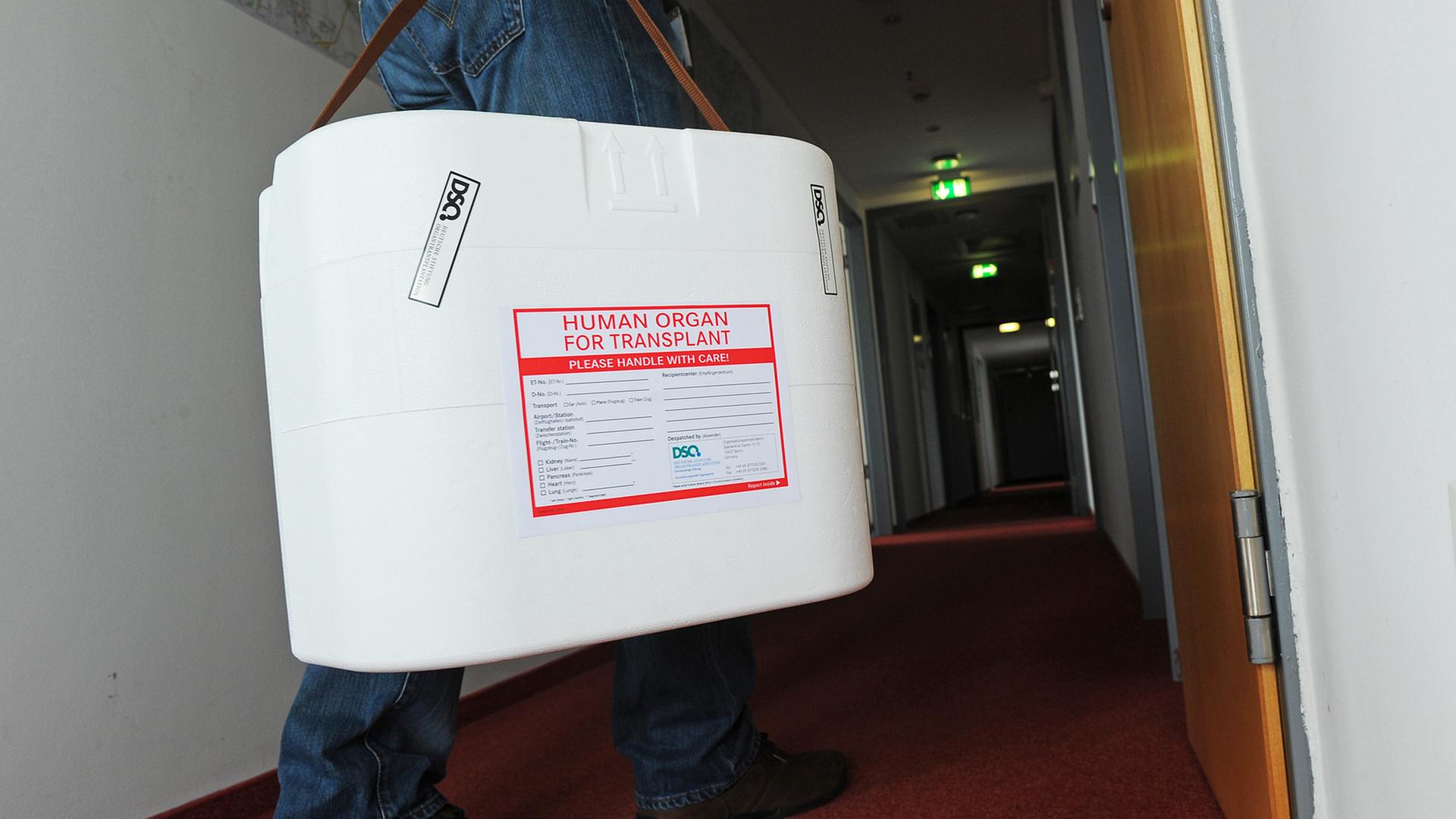 Transportbox für Organe zur Transplantation | picture alliance / dpa