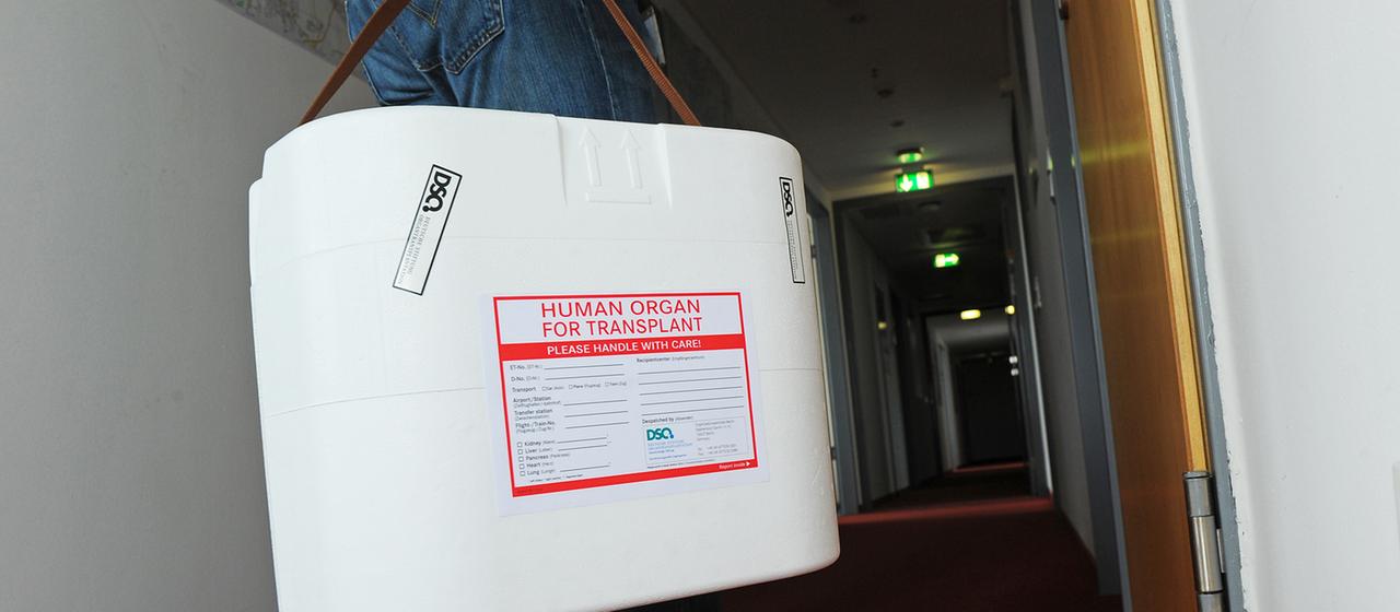 Transportbox für Organe zur Transplantation