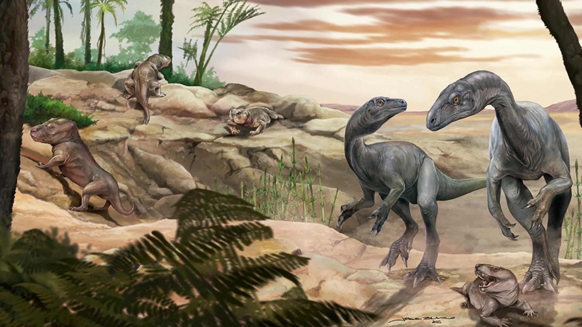 Künstlerische Darstellung des Dinosauriers Huayracursor jaguensis. | Jorge Blanco/CONICET Argentina/dpa