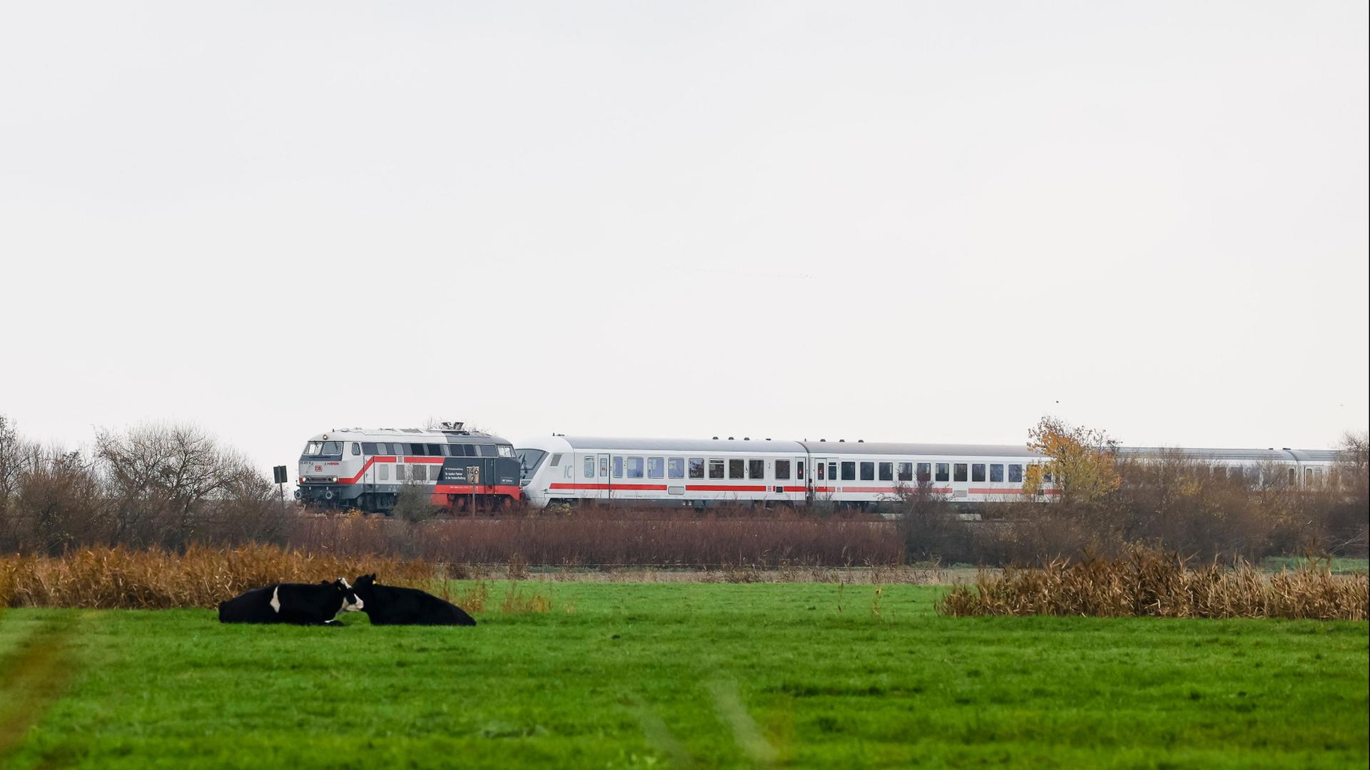 Ein Inter-City-Zug fährt auf der Marschbahnstrecke in Richtung Westerland. (Archiv 2021) | Frank Molter/dpa