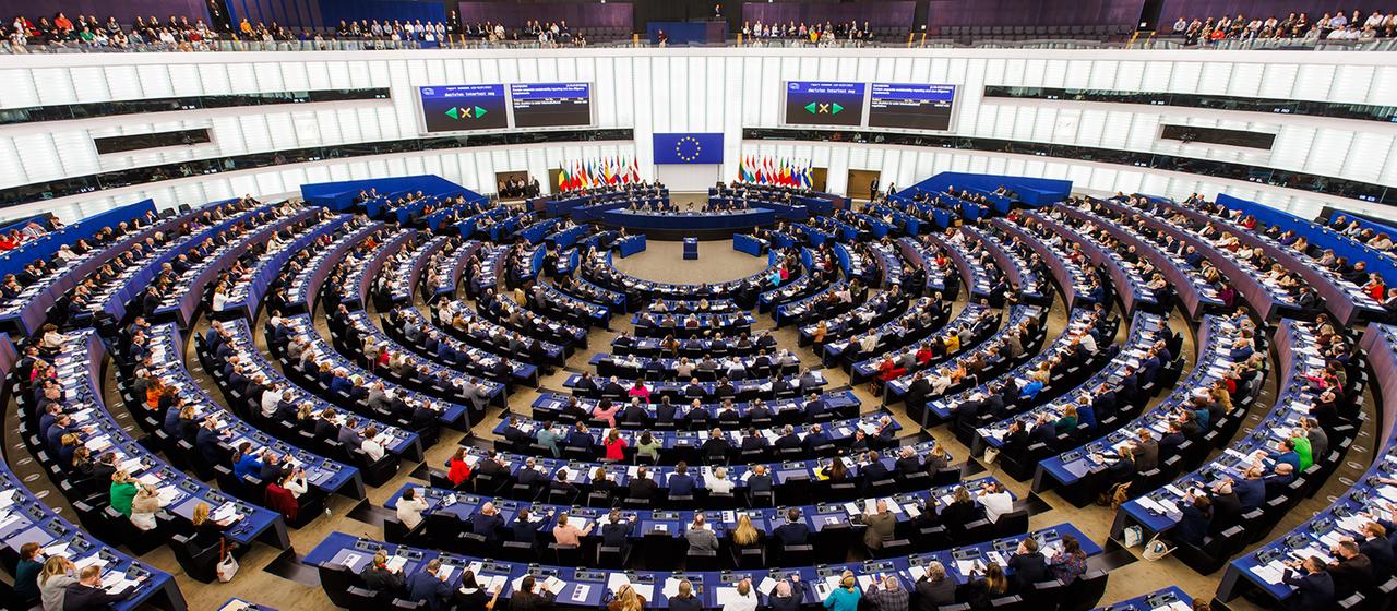 Mitglieder des Europäischen Parlaments sitzen im Plenarsaal des Europäischen Parlaments in Straßburg. | dpa Mitglieder des Europäischen Parlaments sitzen im Plenarsaal des Europäischen Parlaments in Straßburg.