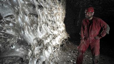 Ein Wissenschaftler in einer Höhle neben einem riesigen Spinnennetz