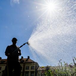  Ein Gärtner wässert ein Blumenbeet.