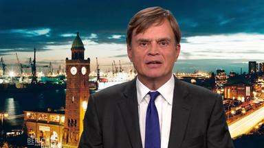 Screenshot Bernd Baumann, Erster Parlamentarischer Geschäftsführer der AfD-Fraktion,