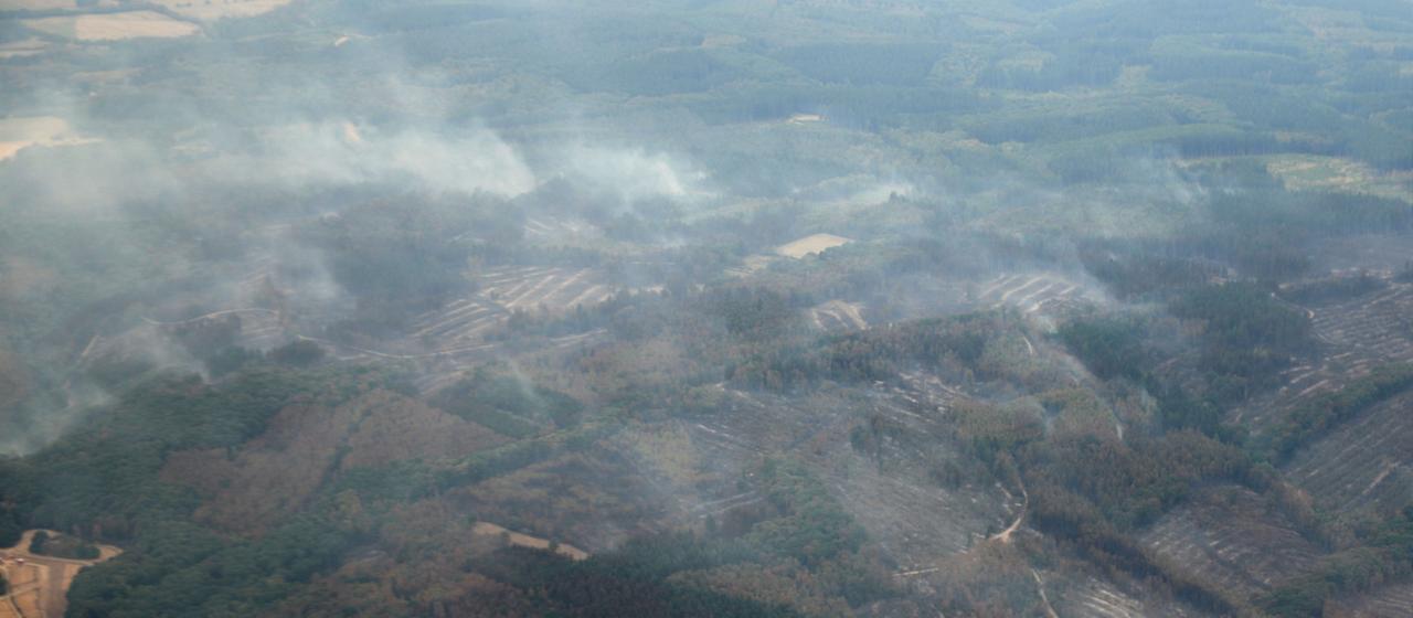 Die Aufnahme aus einem Flugzeug zeigt das Waldbrandgebiet im Hürtgenwald