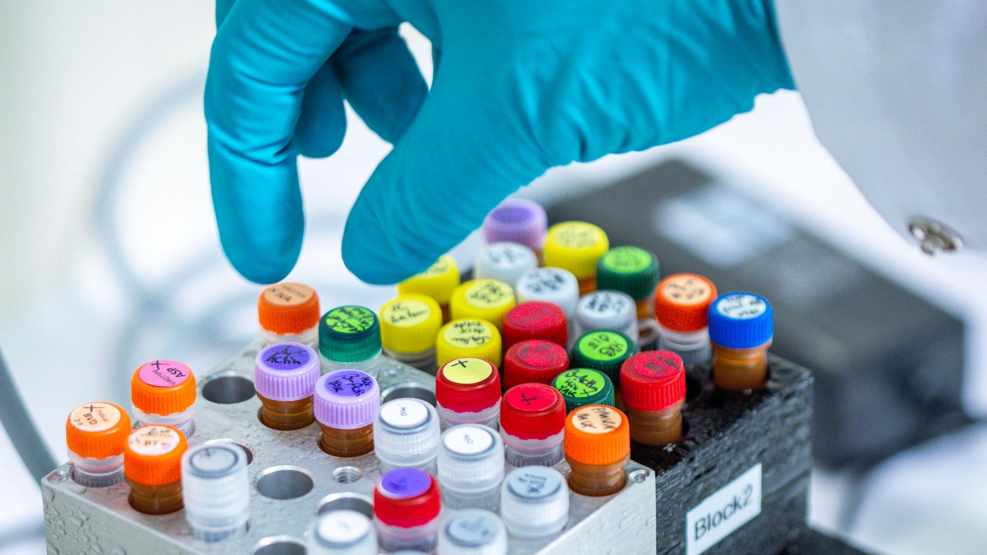 Eine Hand im blauen Handschuh greift nach Reagenzgläsern mit bunten Verschlüssen. | dpa