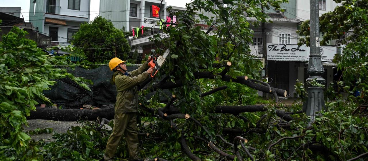 Ein Mann zersägt einen umgestürzten Baum in Vietnam.
