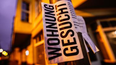 Ein Schild an einem Laternenpfahl mit der Aufschrift "Wohnung gesucht"