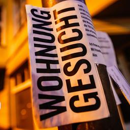 Ein Schild an einem Laternenpfahl mit der Aufschrift "Wohnung gesucht"