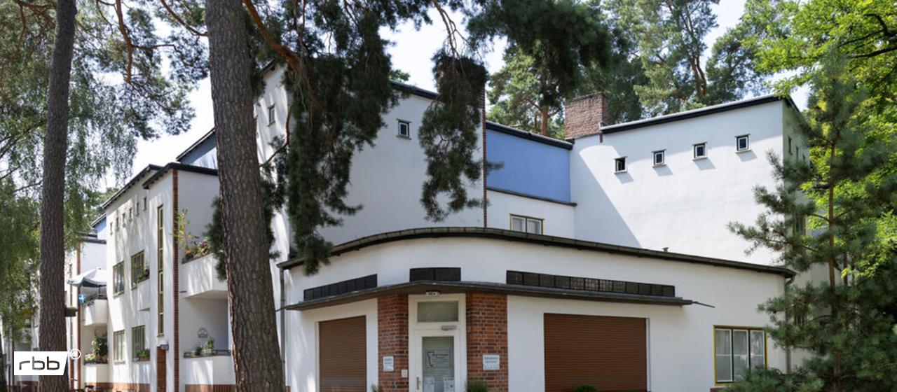 Die Waldsiedlung in Berlin-Zehlendorf (Foto vom 13.07.2026). (Quelle: dpa/Scherhaufer)