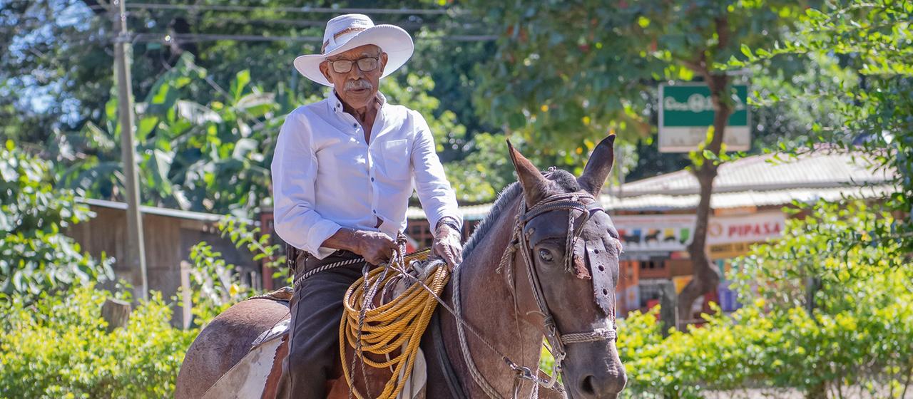 Jose Ramiro Guadamuz Chauarria sitzt noch immer mehrere täglich Stunden im Sattel. Jeden Morgen steht er schon um fünf Uhr auf und reitet zu seinen Kühen, um sie zu füttern. | René Schwerdtel Jose Ramiro Guadamuz Chauarria reitet auf der Insel Nicoya ein Pferd.