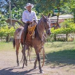 Jose Ramiro Guadamuz Chauarria reitet auf der Insel Nicoya ein Pferd.