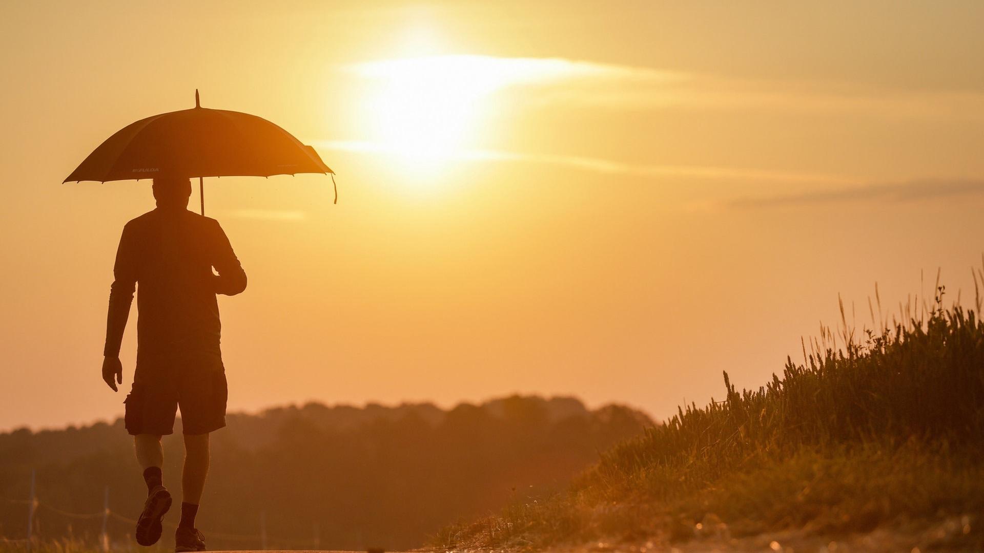 6月の記録的な猛暑の後、またしても暑い夏がやってくる？