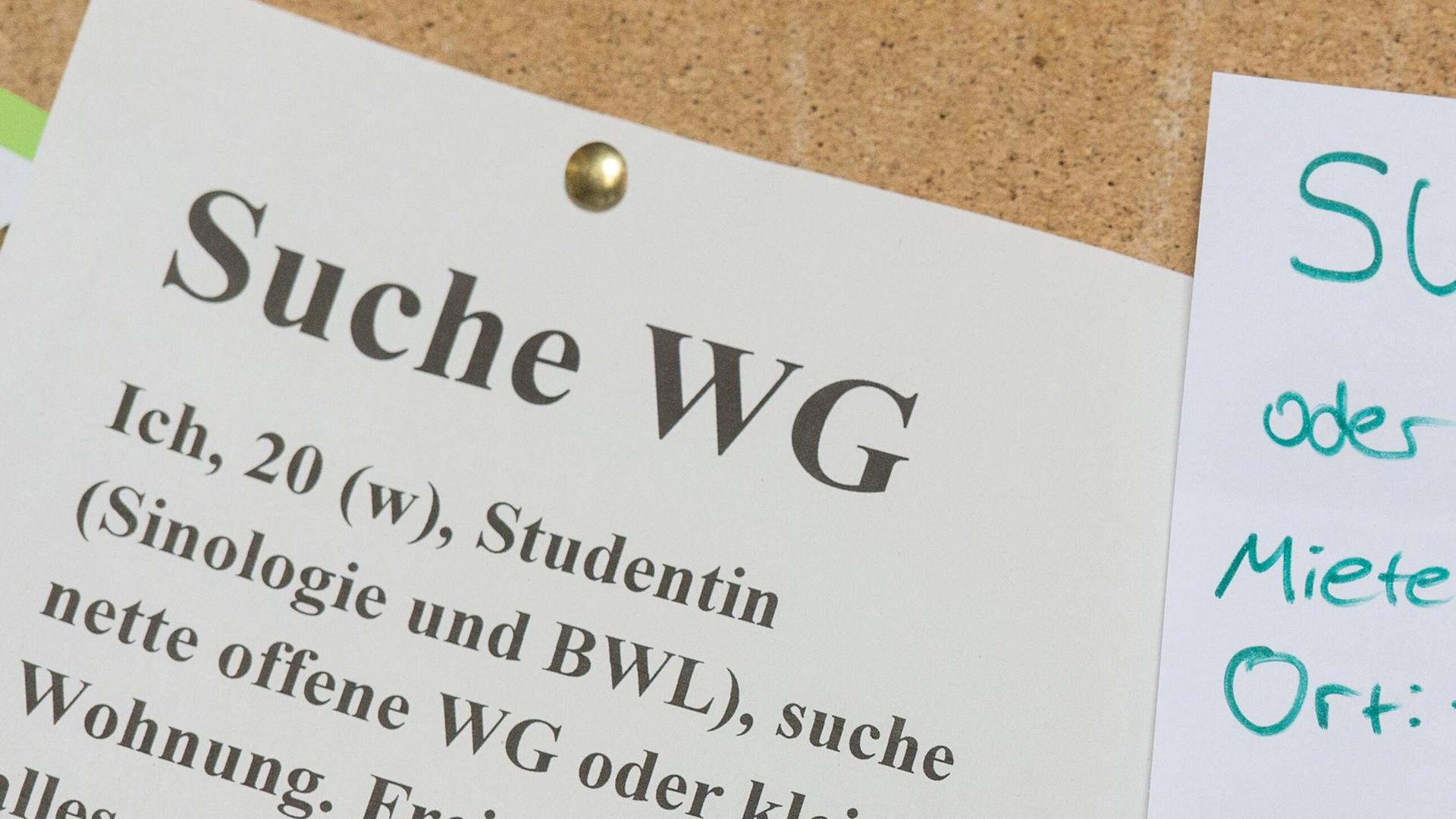 WG-Zimmer-Suche an schwarzem Brett | picture alliance/dpa | Patrick Seeger