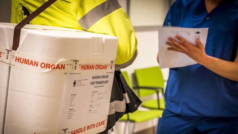 Transport einer Organspende
