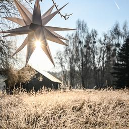 Raureif glitzert auf Gräsern bei kalten Temperaturen. Erst zum Wochenende soll Regen kommen. 