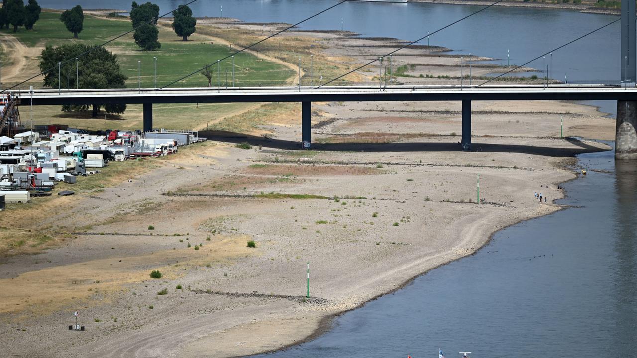 Niedrigwasser auf Rhein und Donau schränkt Schifffahrt ein