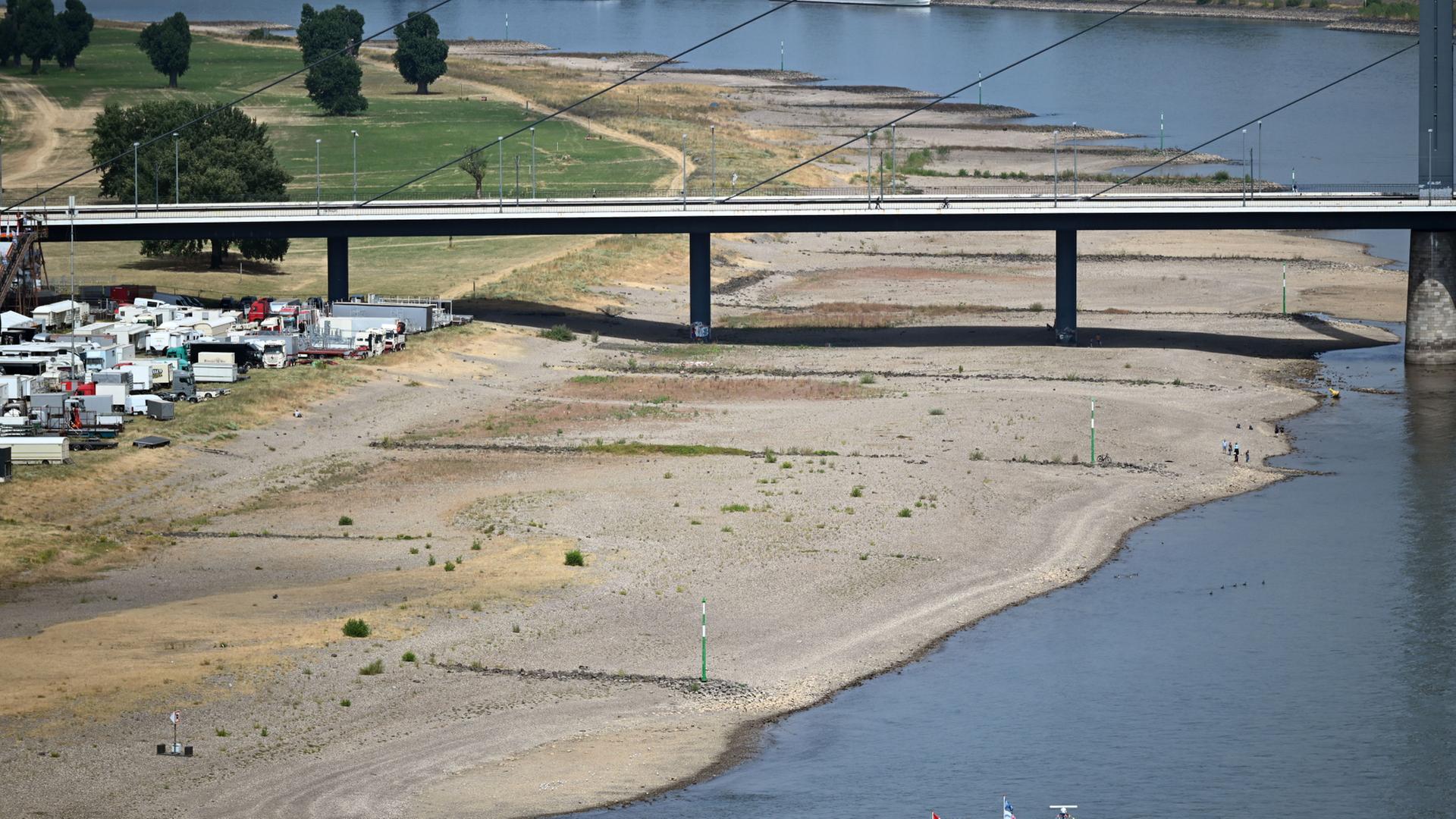 Blick auf den Rhein in Düsseldorf, der durch Trockenheit nur wenig Wasser führt. | Federico Gambarini/dpa