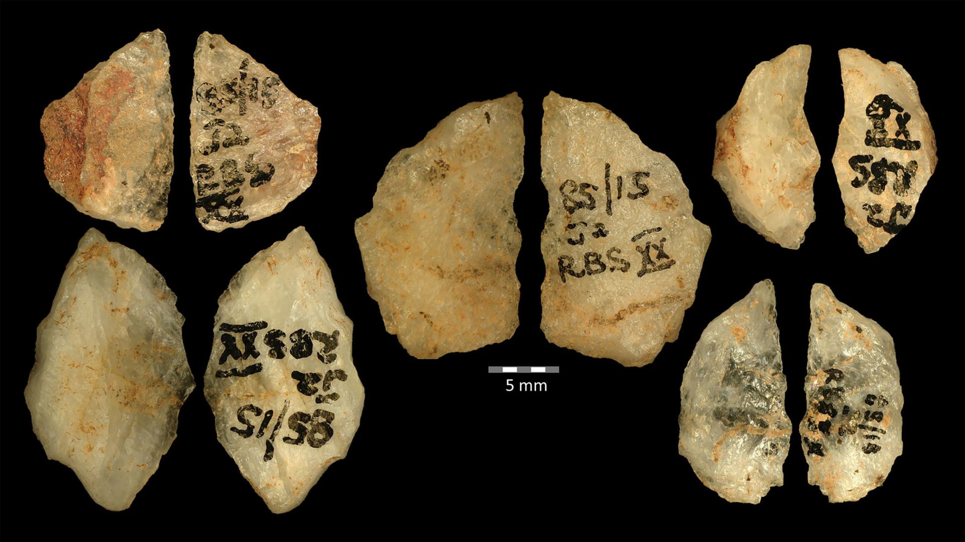 Giftpfeile aus der Steinzeit | Marlize Lombard /Palaeo-Research Institute, University of Johannesburg/dpa