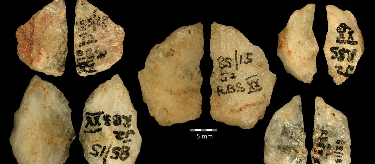 Giftpfeile aus der Steinzeit