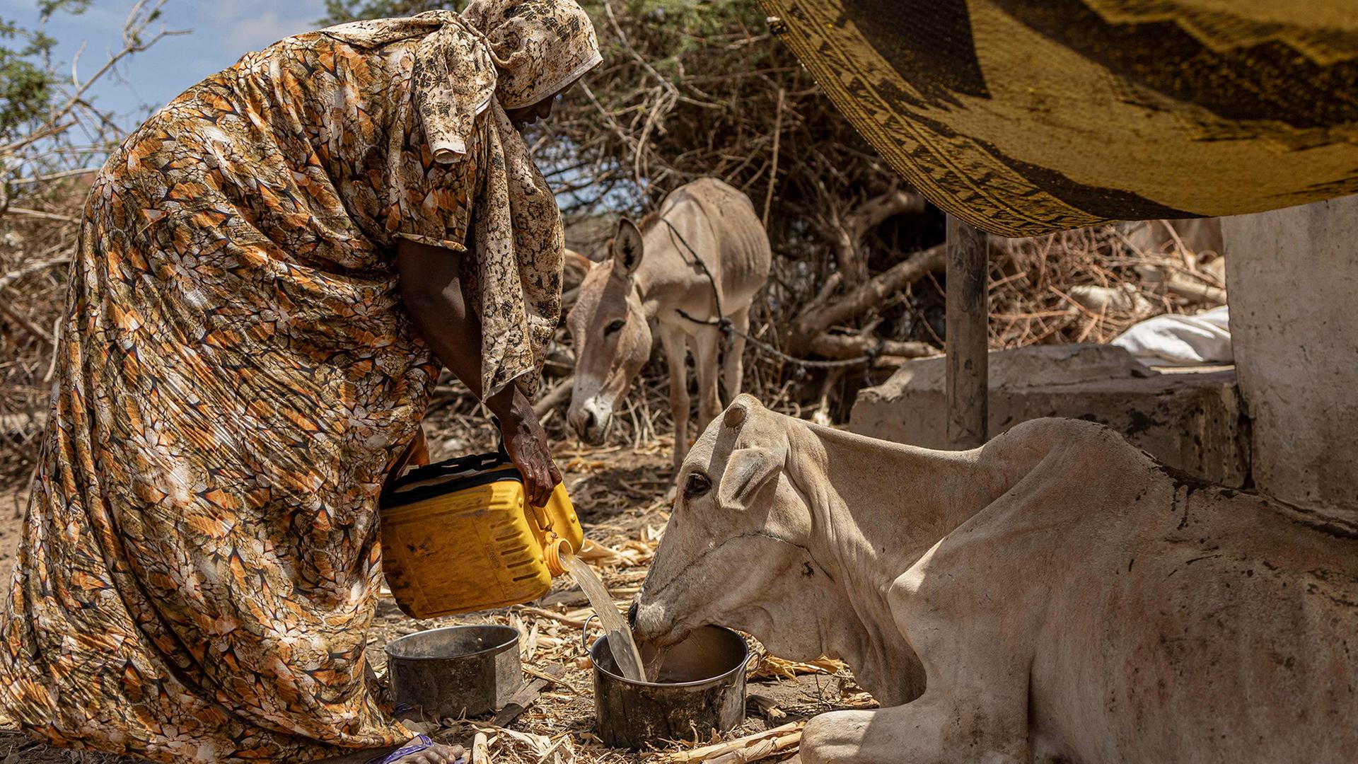 UN-Report: Kleine Fortschritte, doch der Hunger bleibt