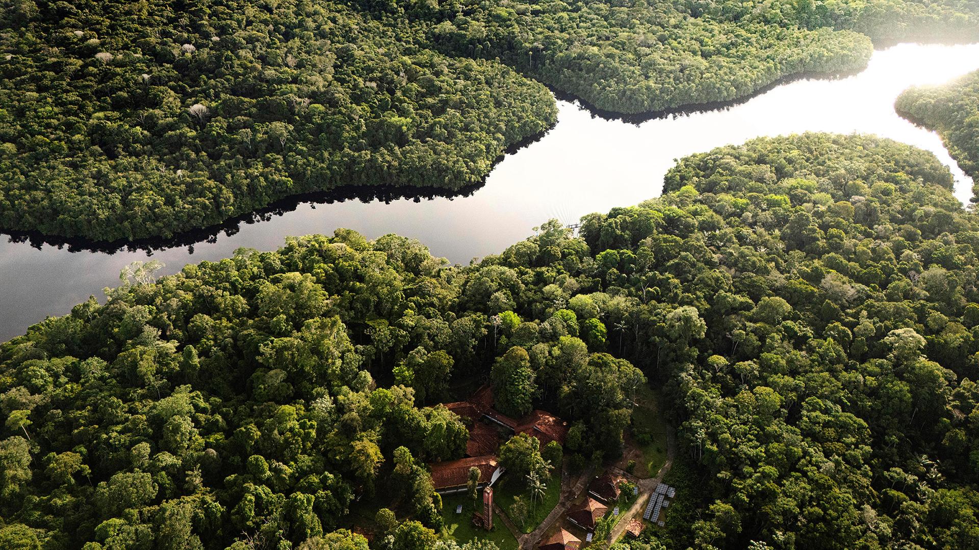 Der Curua-Fluss durchquert den Caxiuana National Forest im brasilianischen Bundesstaat Para. | dpa