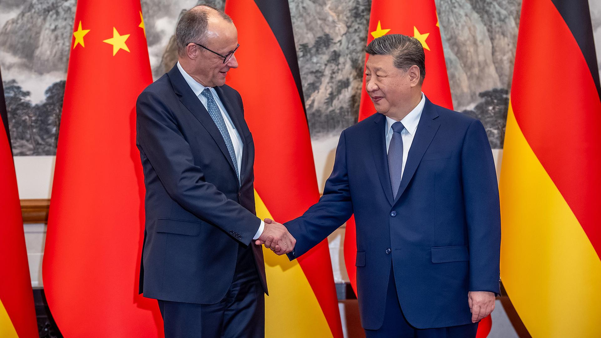 Friedrich Merz und Xi Jinping | Michael Kappeler/dpa